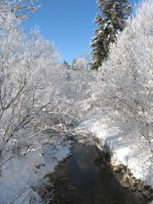 Omaggio all''Inverno che se ne va...